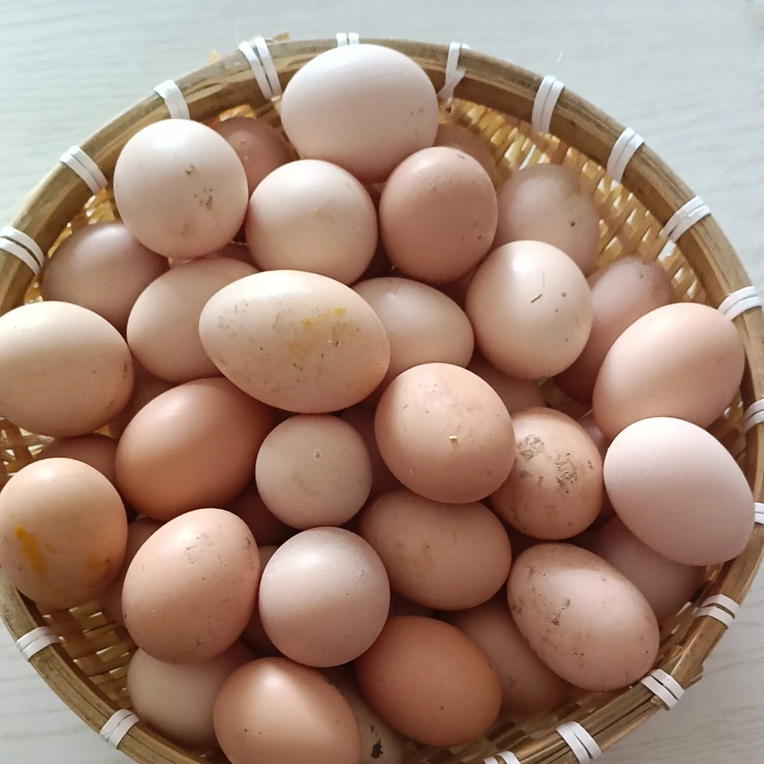 固镇县湖沟镇农家林下散养土鸡蛋江浙沪皖包邮