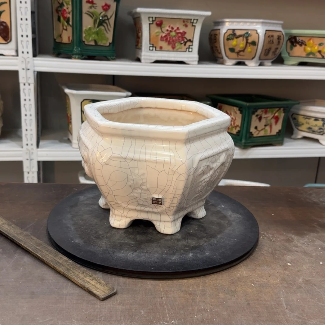 不**心221222222222222