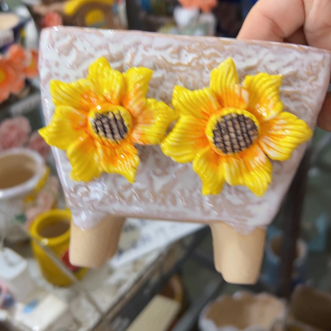 本场满100送一个花盆