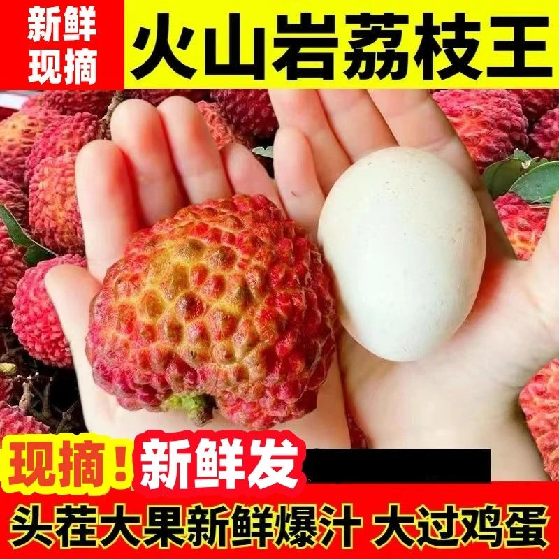 【华子专属】海南正宗火山口荔枝王新鲜现摘顺丰冷链发货包邮H3