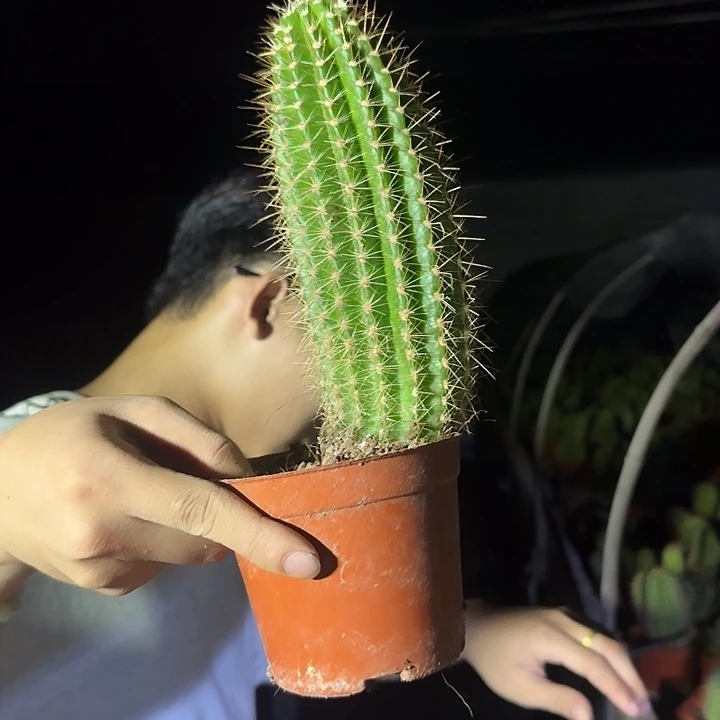 黄***产牛牛哈哈哈哈哈哈哈哈