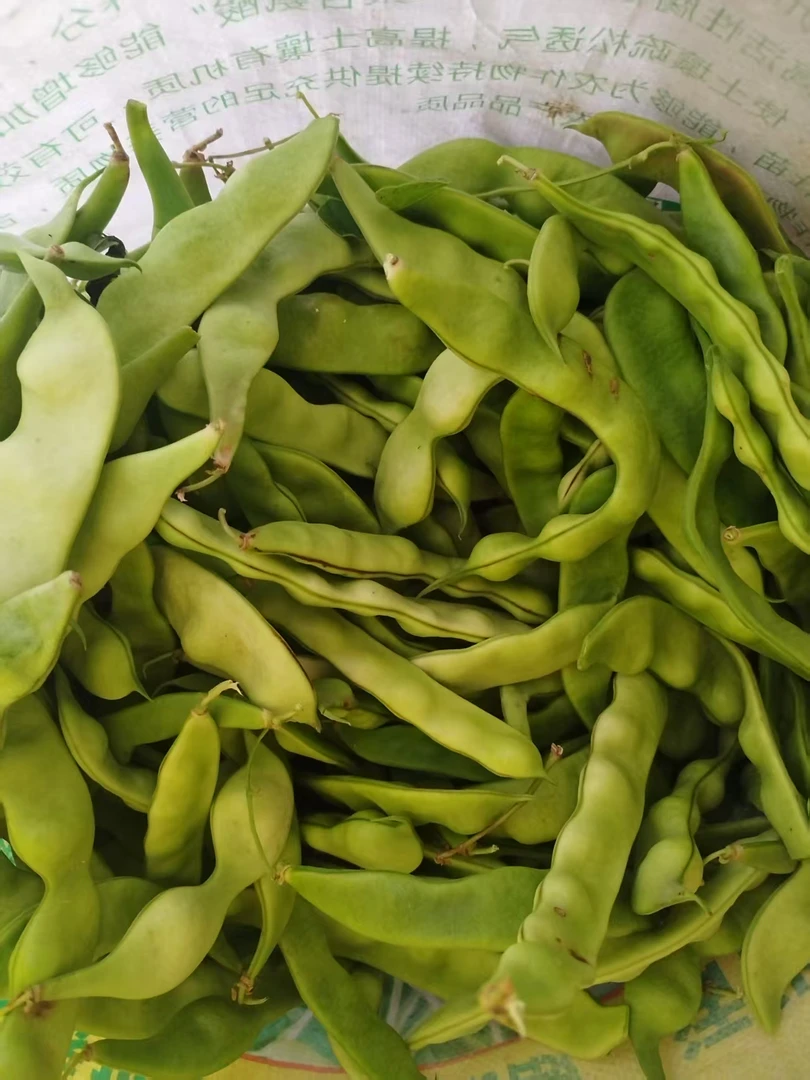 【大工】东北农家自种新鲜蔬菜 混装