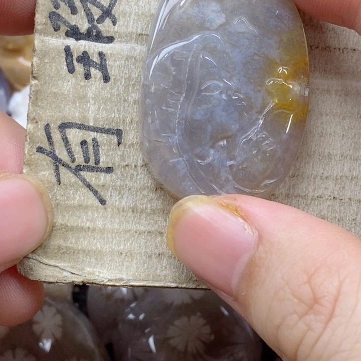 颈饰未镶嵌硅化珊瑚（珊瑚玉）胖*小