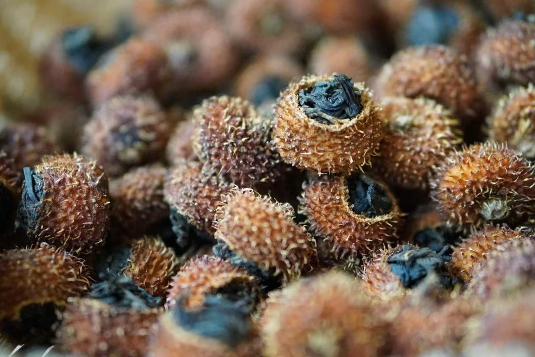 2025刺梨红茶 普洱茶 100g