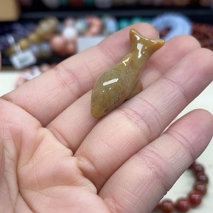 未镶嵌手串硅化珊瑚（珊瑚玉）126