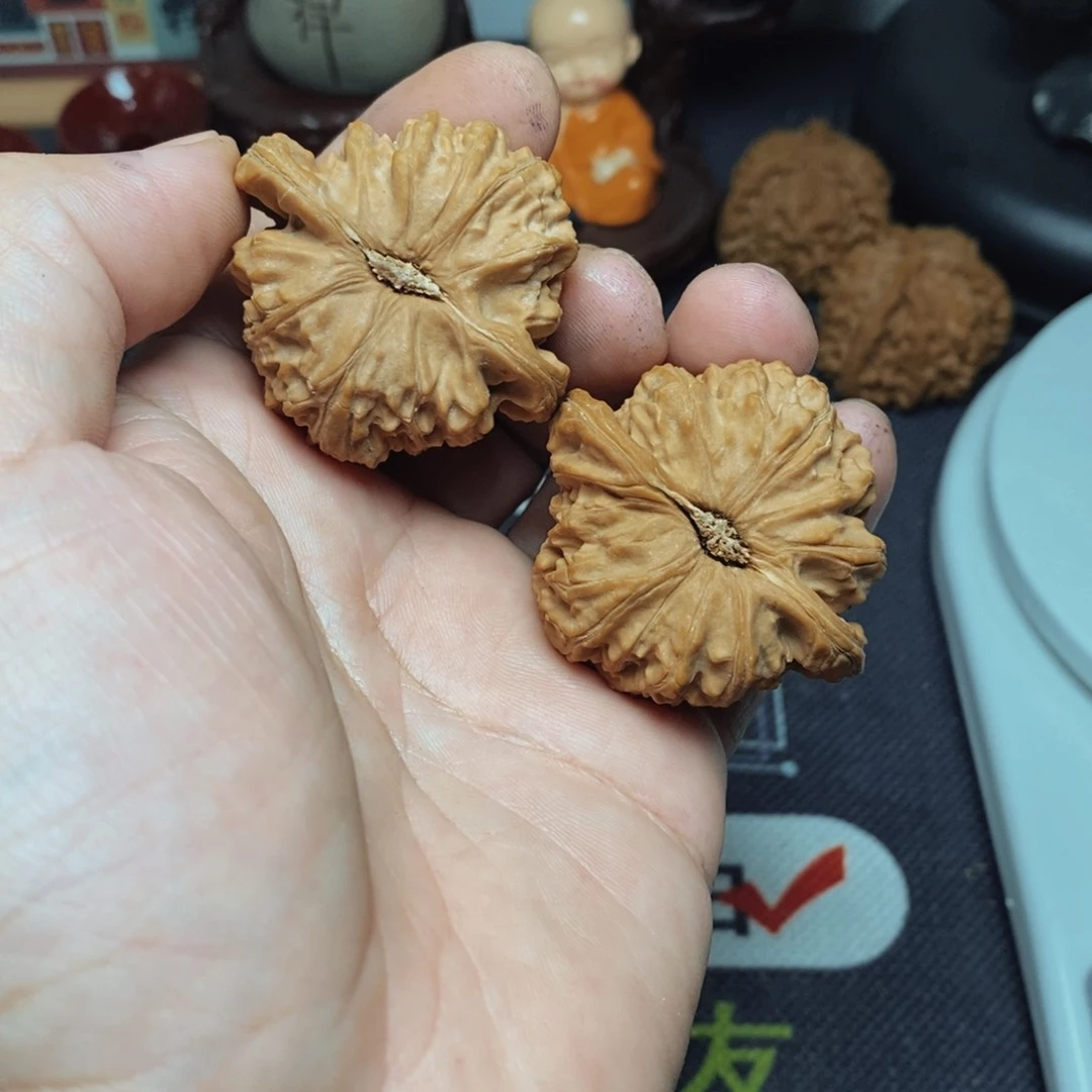 把件文玩核桃白狮子88.8