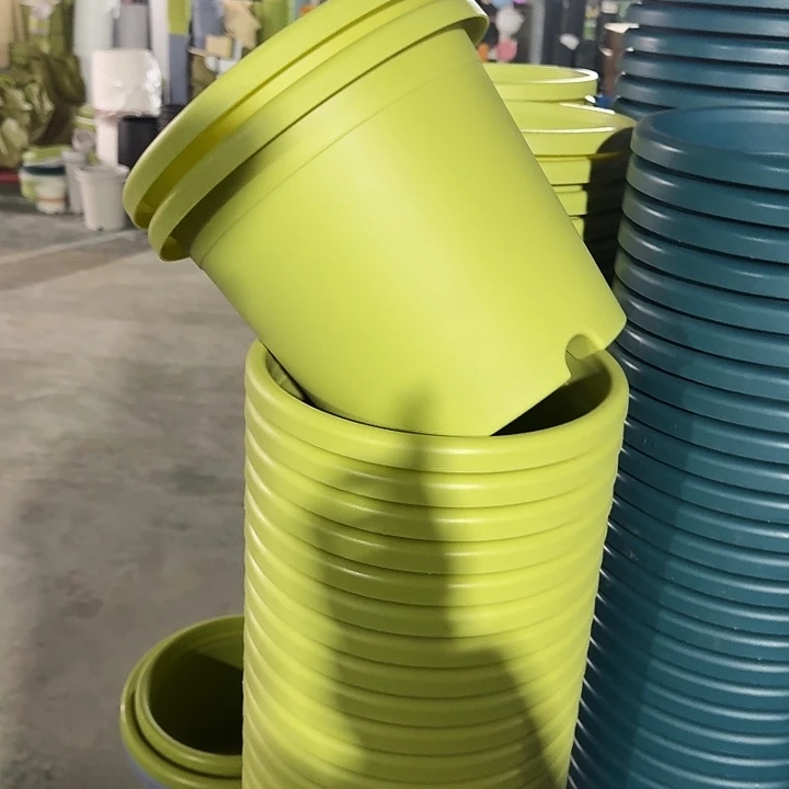 四季4#口径25果绿10个无托