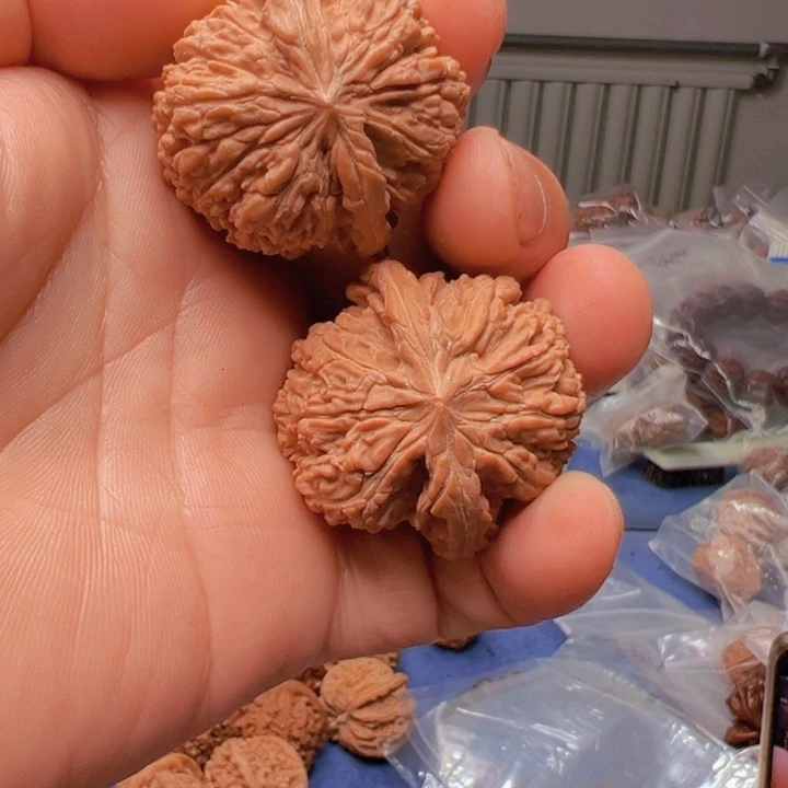 文玩核桃把件耕**地137狮子头