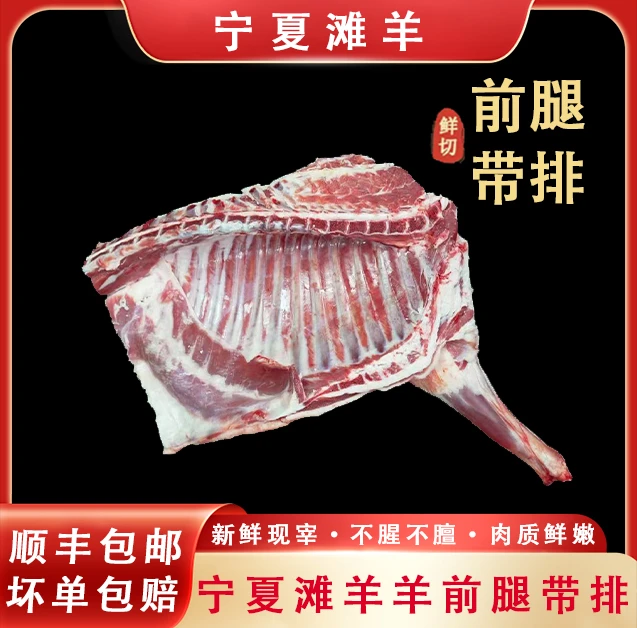 【正宗宁夏滩羊】宁夏优质特产滩羊羊羔肉 前腿带排分割清炖红烧