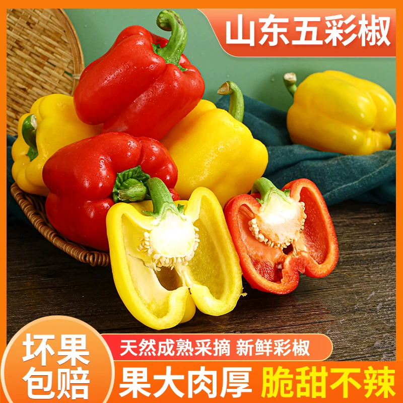 生吃甜椒新鲜现摘彩椒水果椒太空椒不辣脆甜五彩椒红黄椒柿子椒