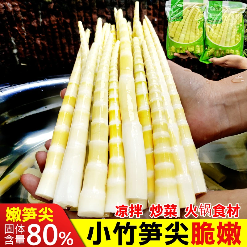 四川高山去壳包装新鲜小竹笋嫩笋尖清水笋火锅笋脆嫩食材