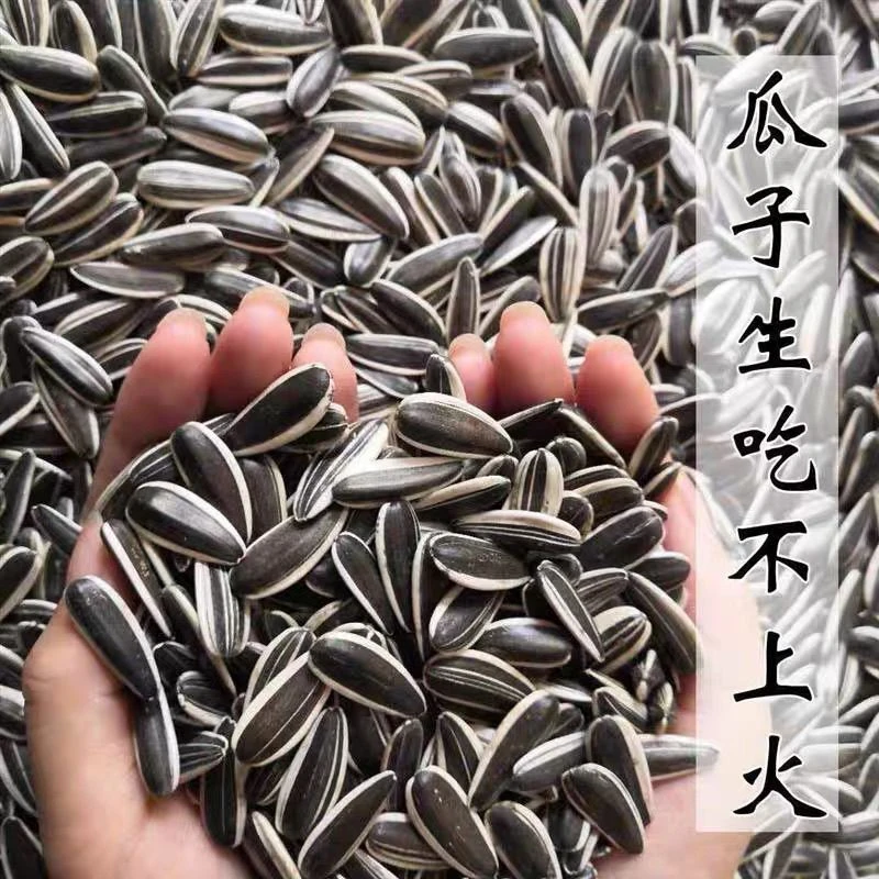 买一斤送一斤中大颗粒生瓜子