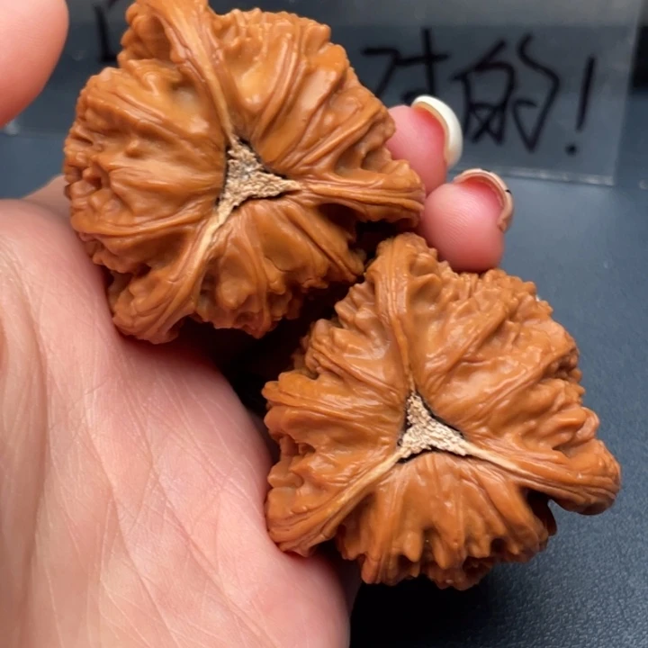 帕***李文玩核桃吊坠白狮子