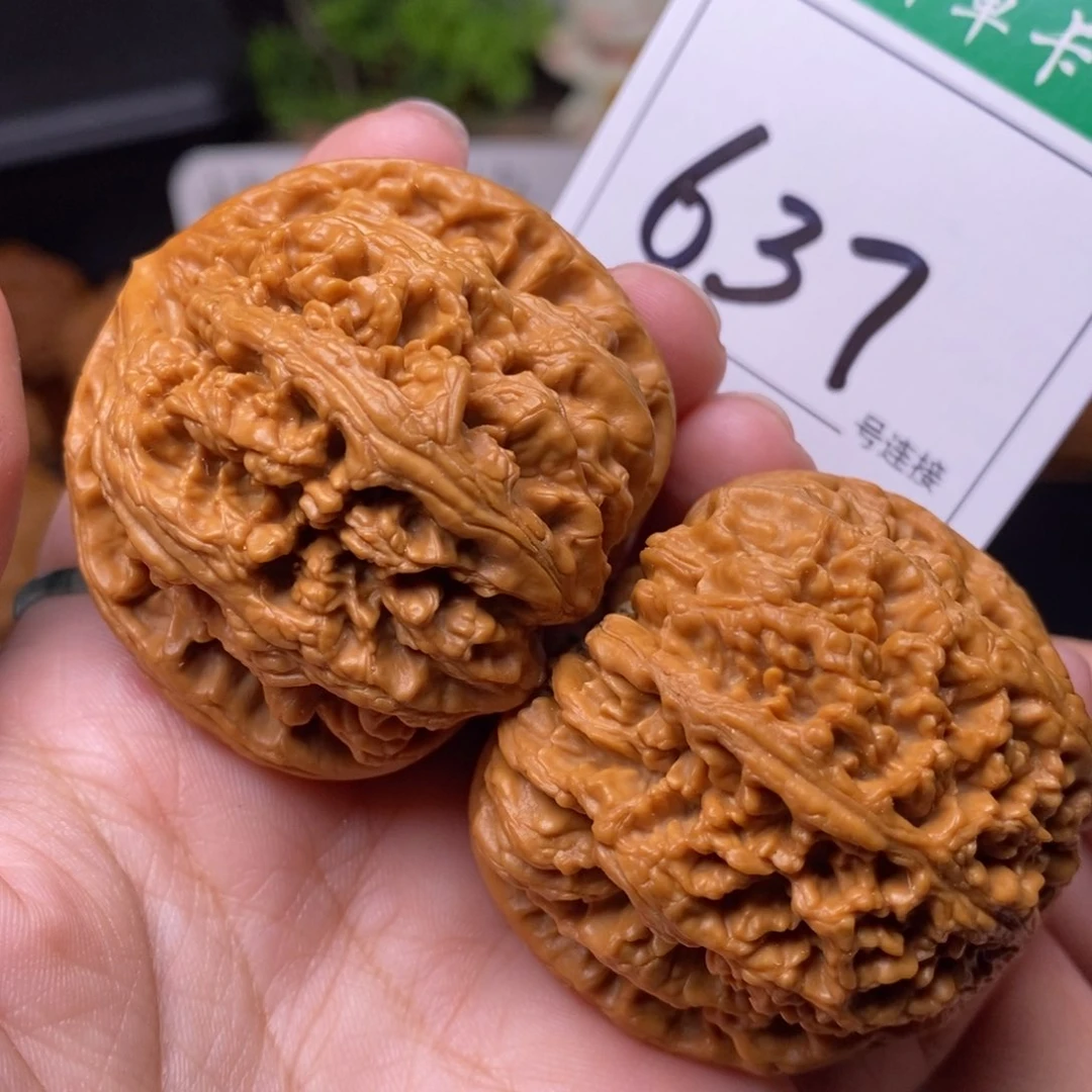 把件文玩核桃637粗筋4.8