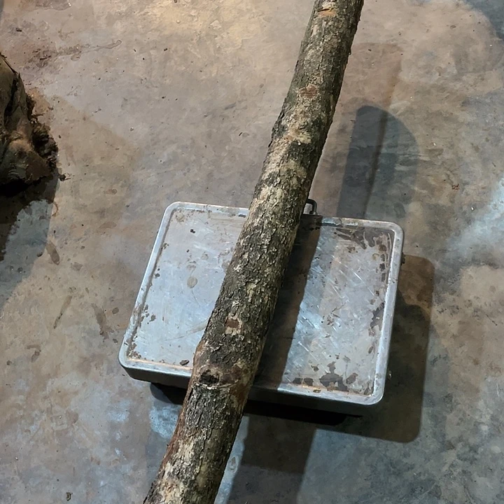 阿祥木业 一物一拍