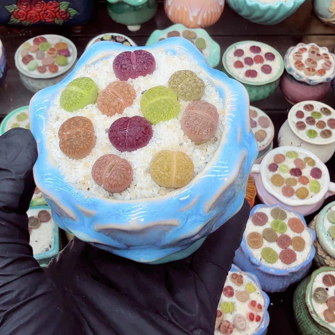 郎哥18包邮0610-23