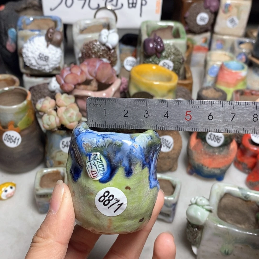 特价处理的，不退不换原价48