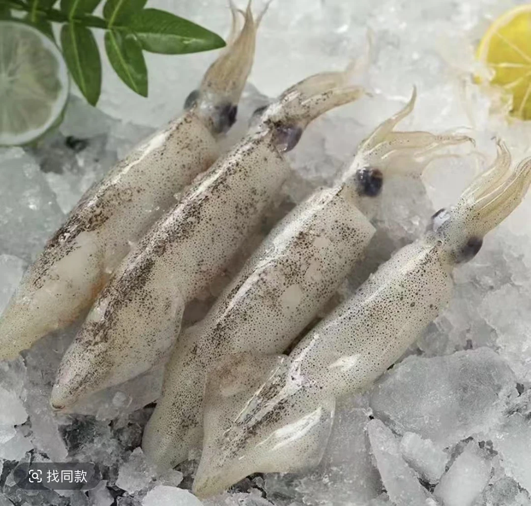 【原浆海兔】比管鱼5斤 （每斤15-20条左右）速冻锁鲜顺丰包邮