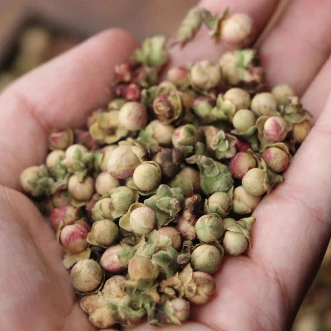 云南野茶芽尖《花苞》