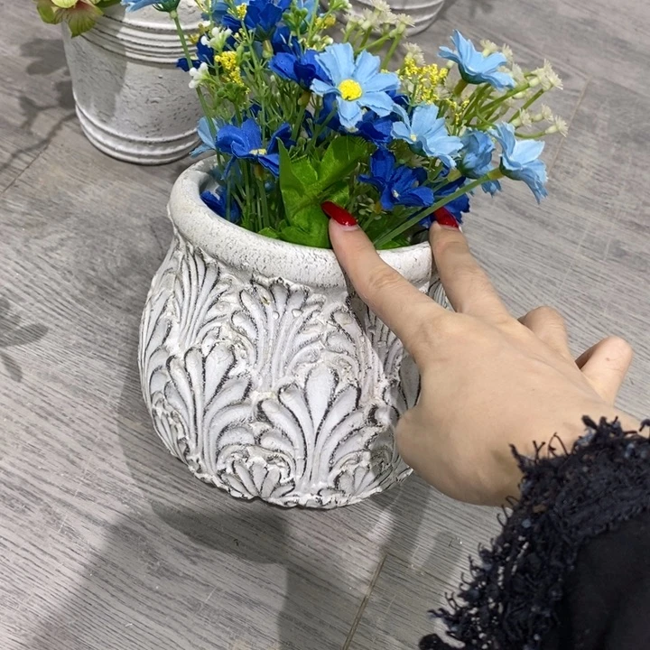 花盆5588888000000000000000