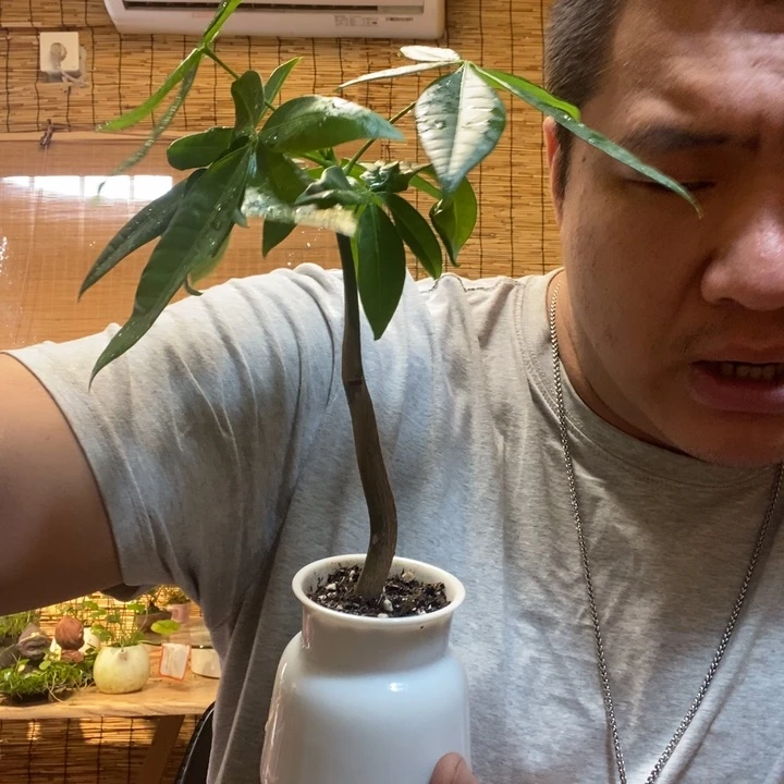 一物一拍所见即所得224
