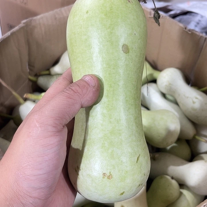 非洲紫檀（红花梨）用****9