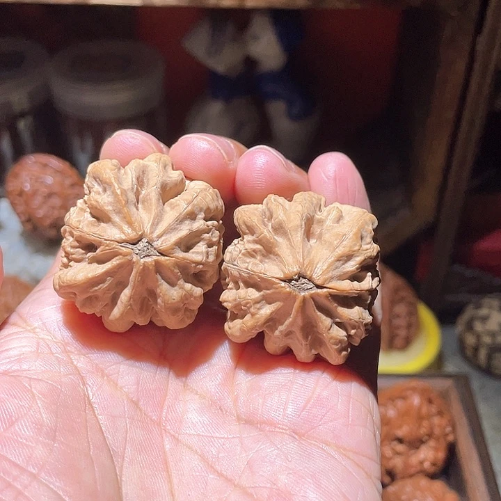 山***木抖音直播间核桃福利66