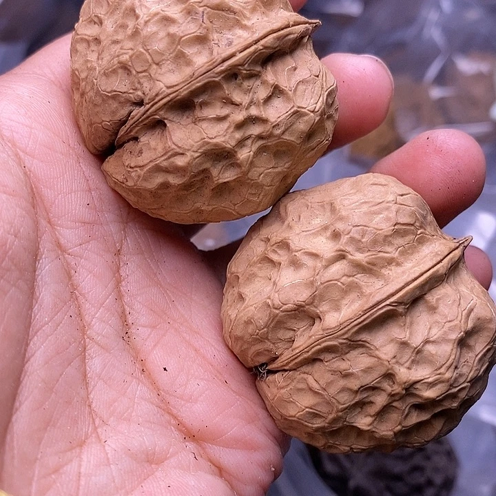 文玩核桃把件   243