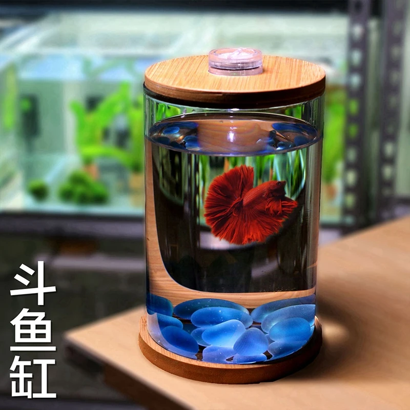 斗鱼小型鱼缸网红创意玻璃缸桌面造景小水族箱观赏鱼装饰生态鱼缸