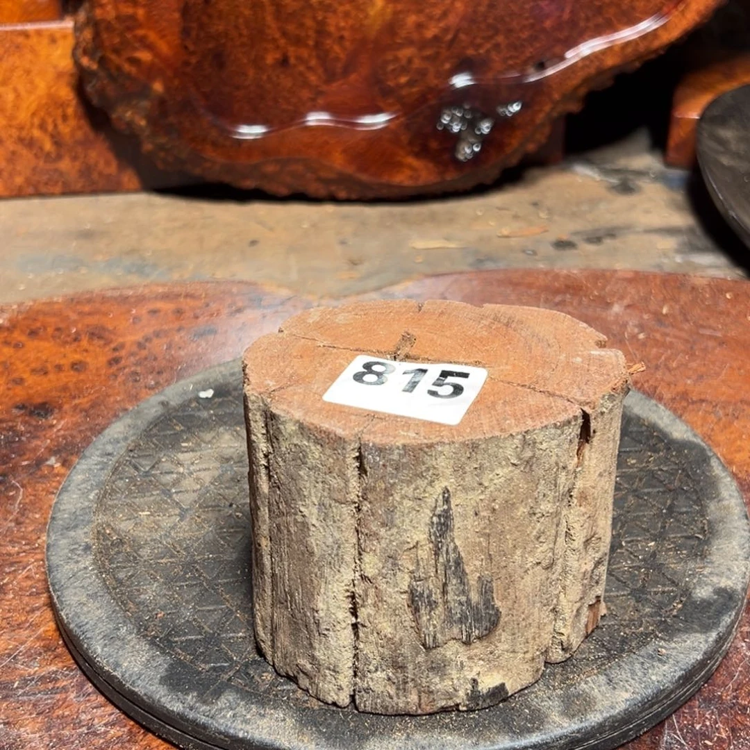 大果紫檀（缅甸花梨）