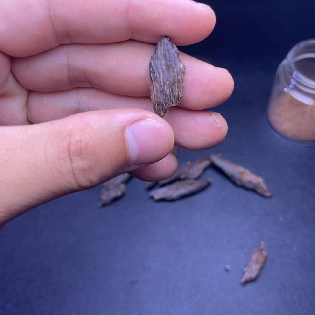 香榧木海南东方沉水生结牙沉0.6克
