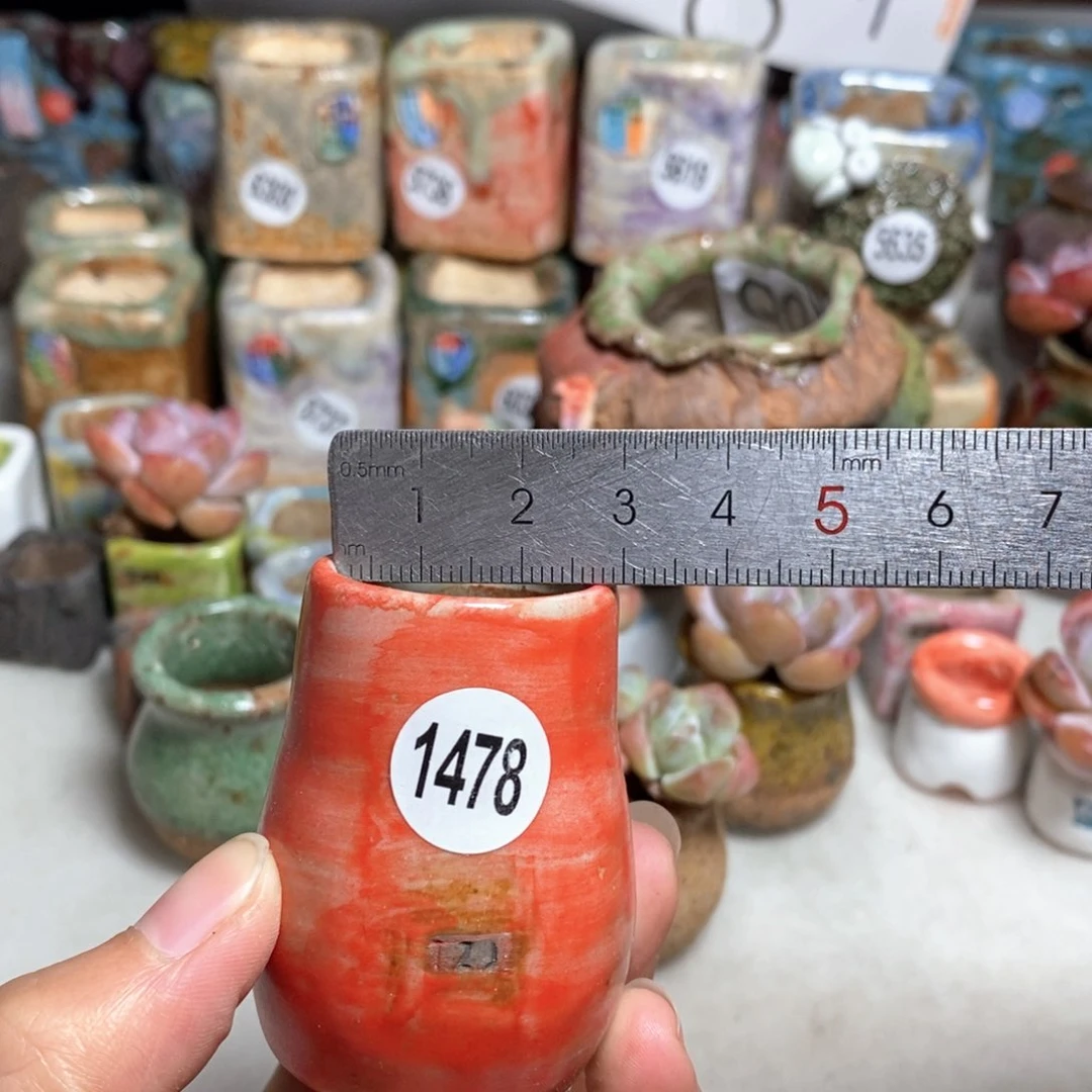 拍5送一个小礼物