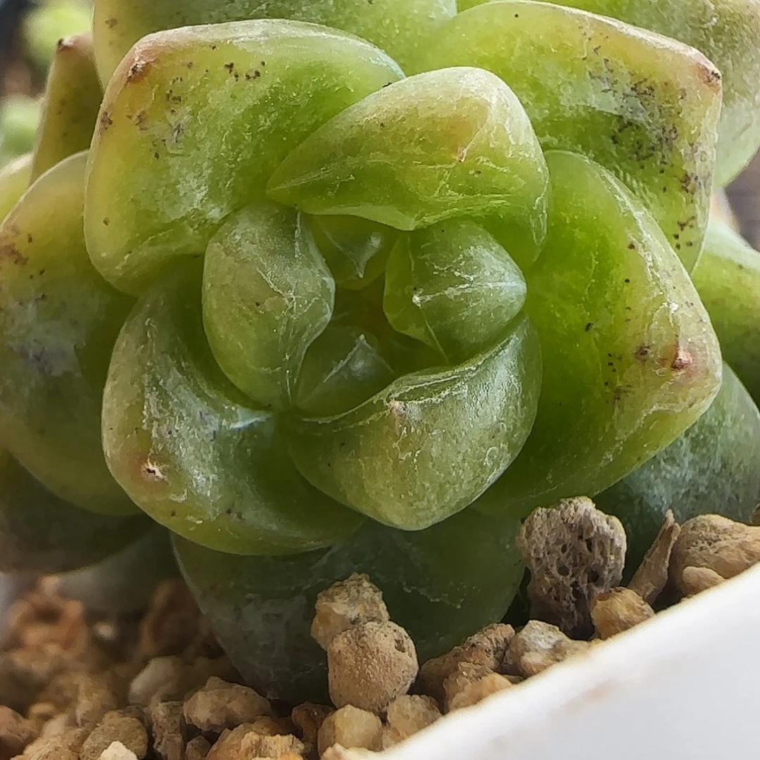 277号哈哈哈哈哈哈