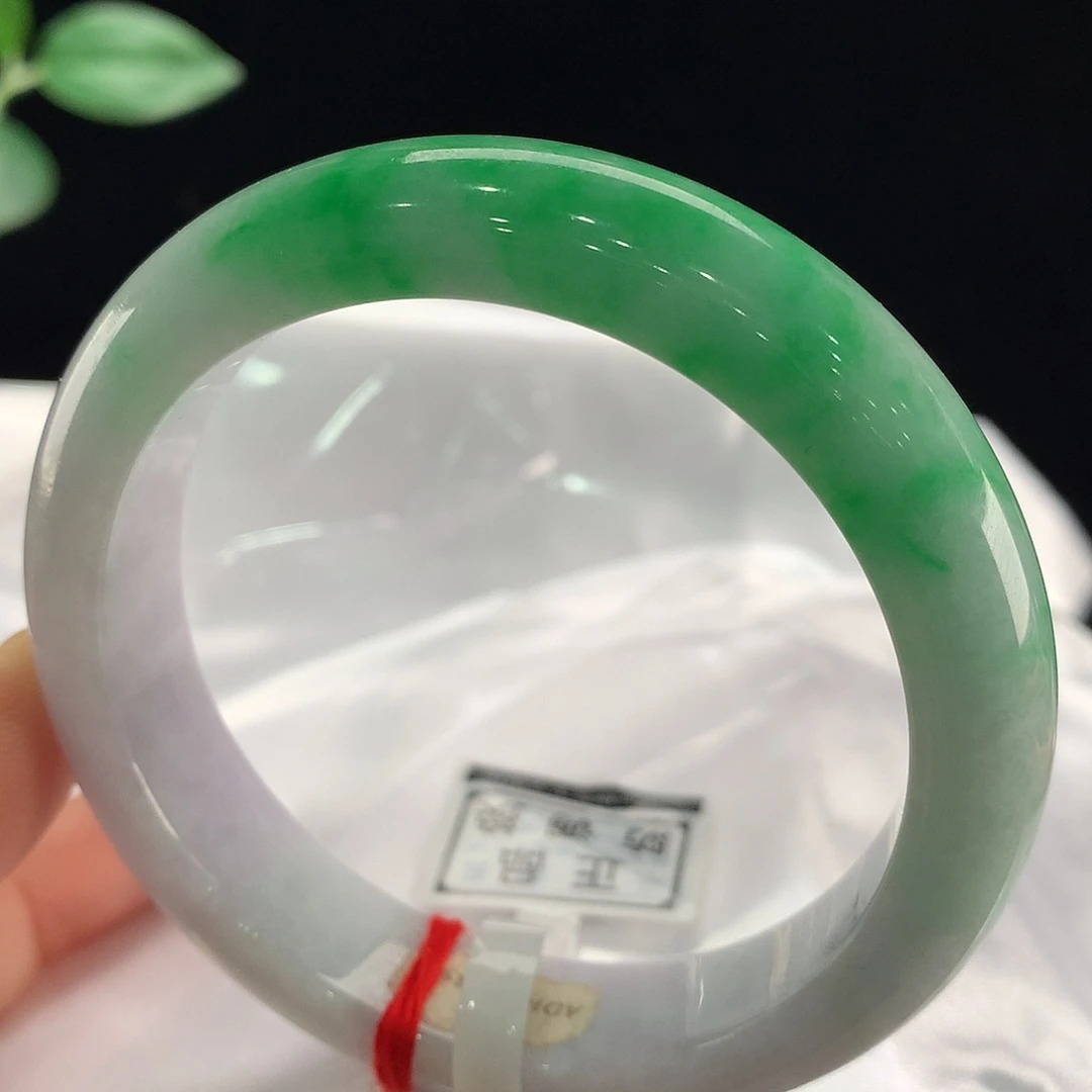 未镶嵌手镯翡翠2859
