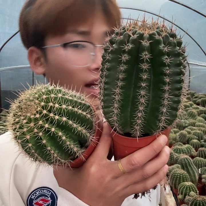 金***迪无花朵彩草哈哈哈哈哈哈哈