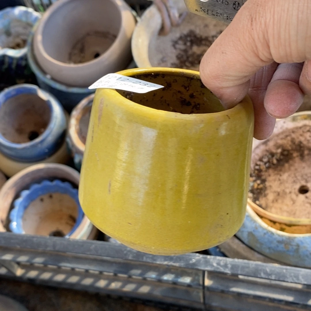 232号多肉盆口径5.5