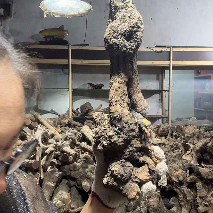 用***9火琉璃的故事是一个