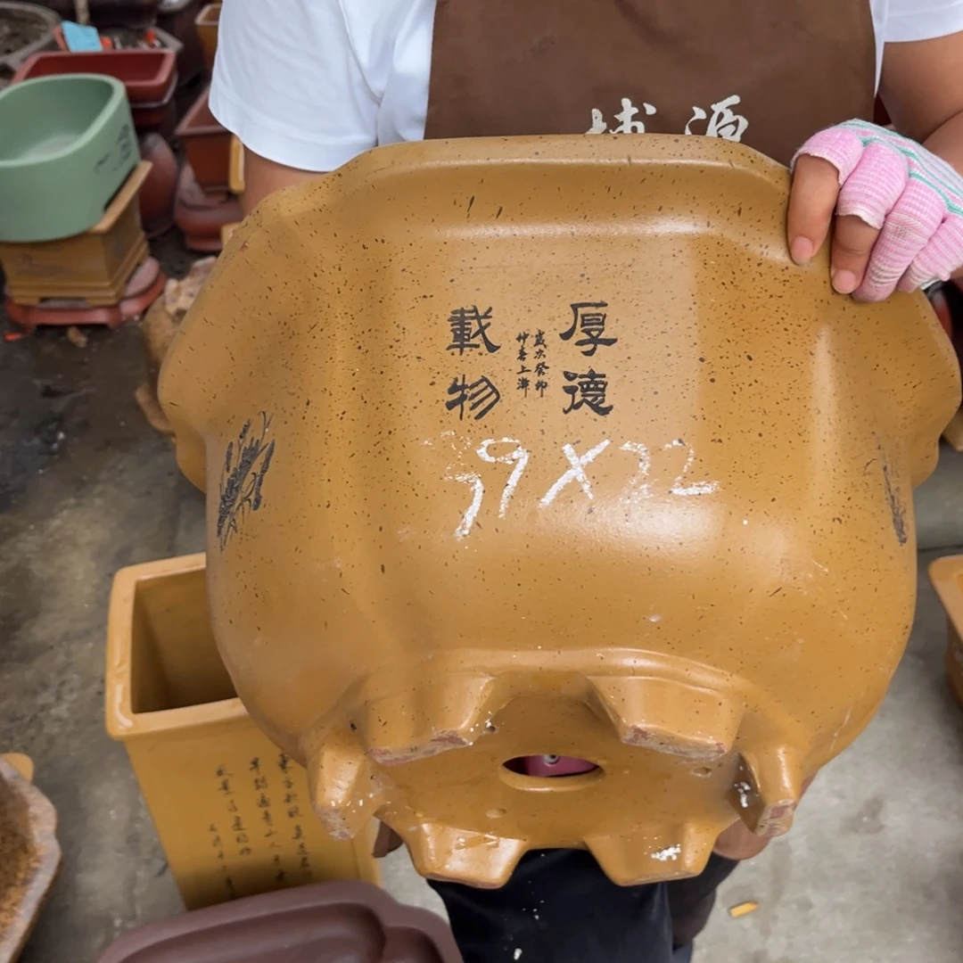 紫砂花盆盆景艺术