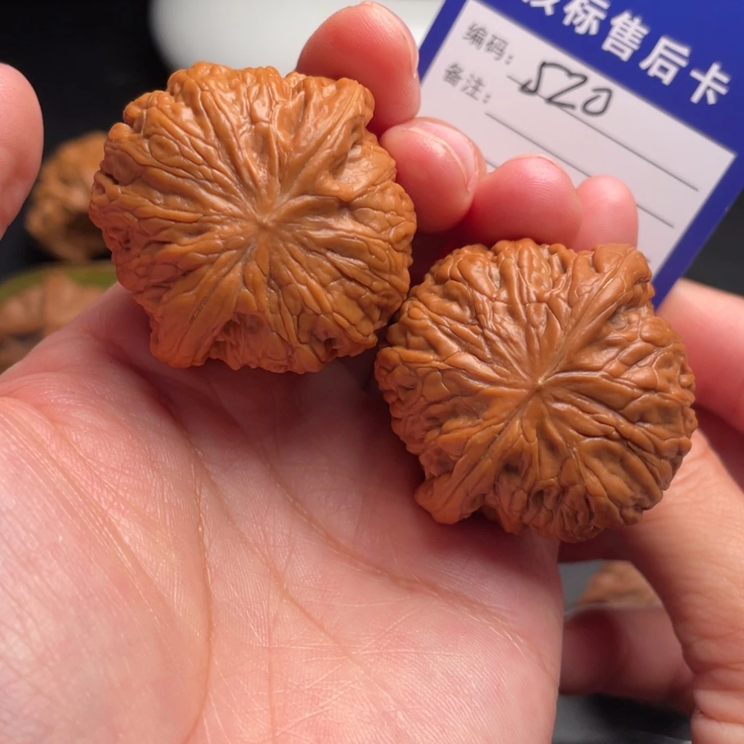 张***溪把件文玩核桃铁锤妹妹41全品520号