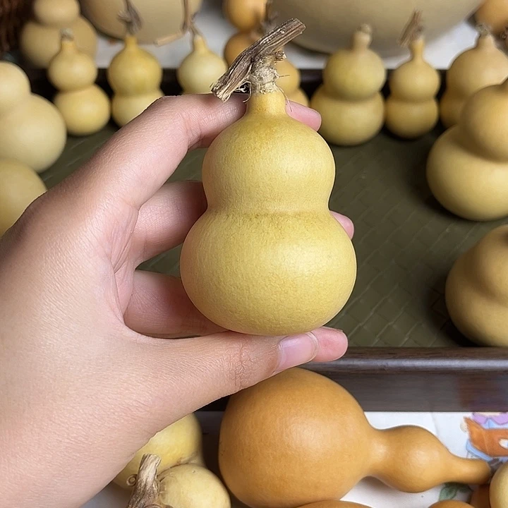 小***珂小可啊啊啊啊啊啊啊