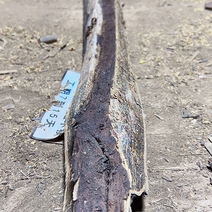 贡木其他定制产品不退不换