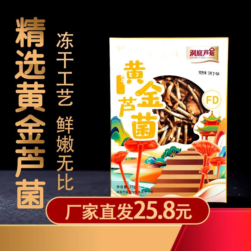 洞庭芦姑黄金芦菌干菌冻干工艺易泡发