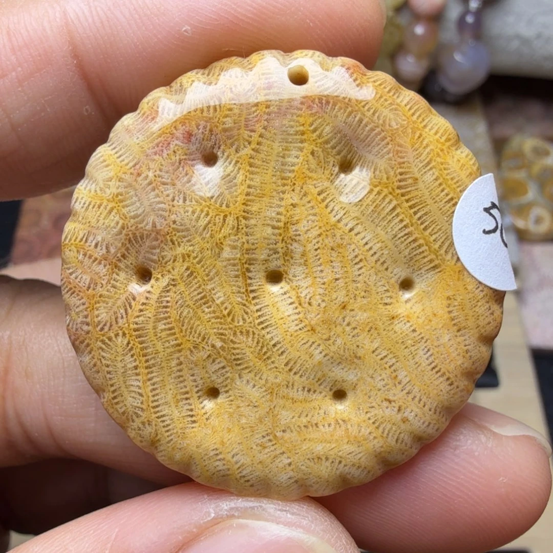 硅化玉未镶嵌纯天然色有机玉石保真色