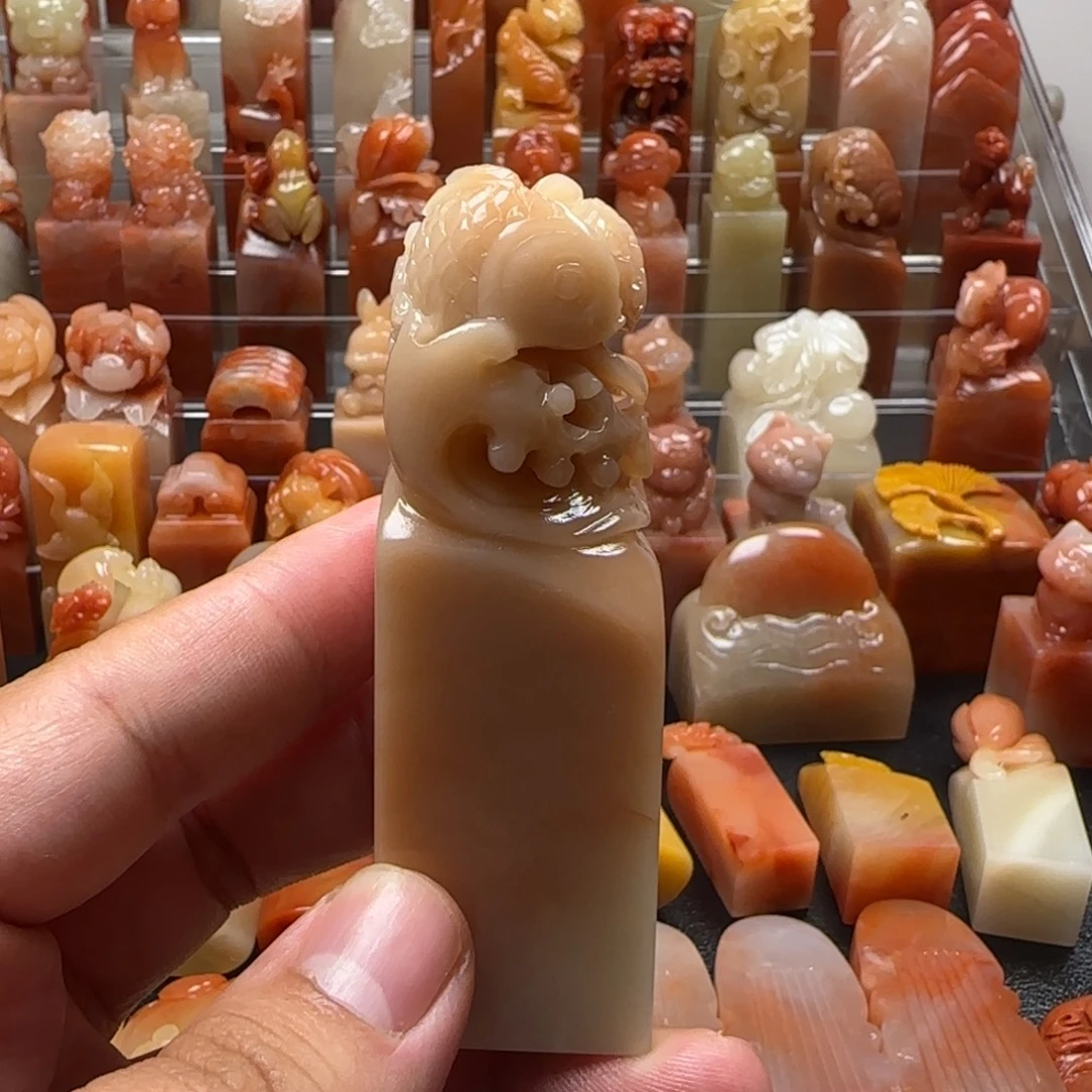 老挝石锦鲤   2.5×8.1