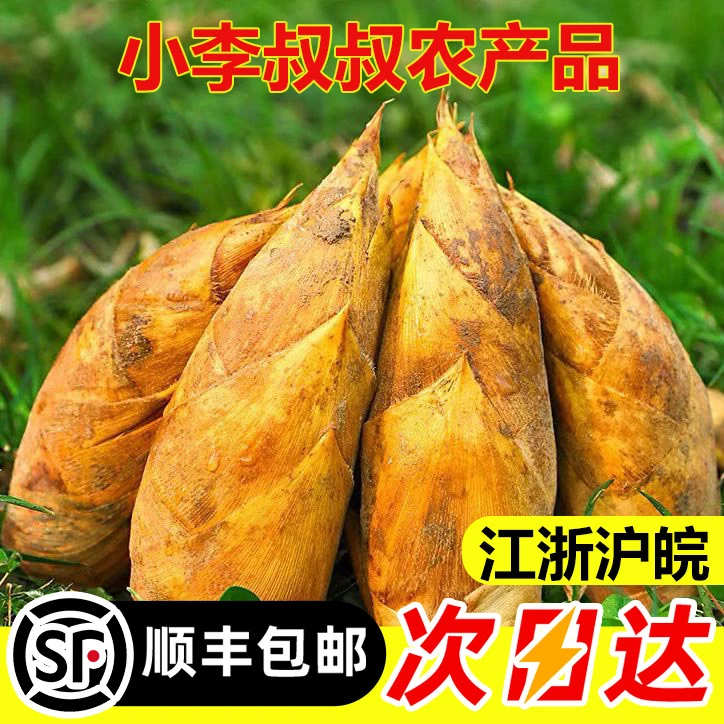 冬笋新鲜现挖现发毛竹笋农家新鲜竹笋新鲜笋浙江临安天目冬笋