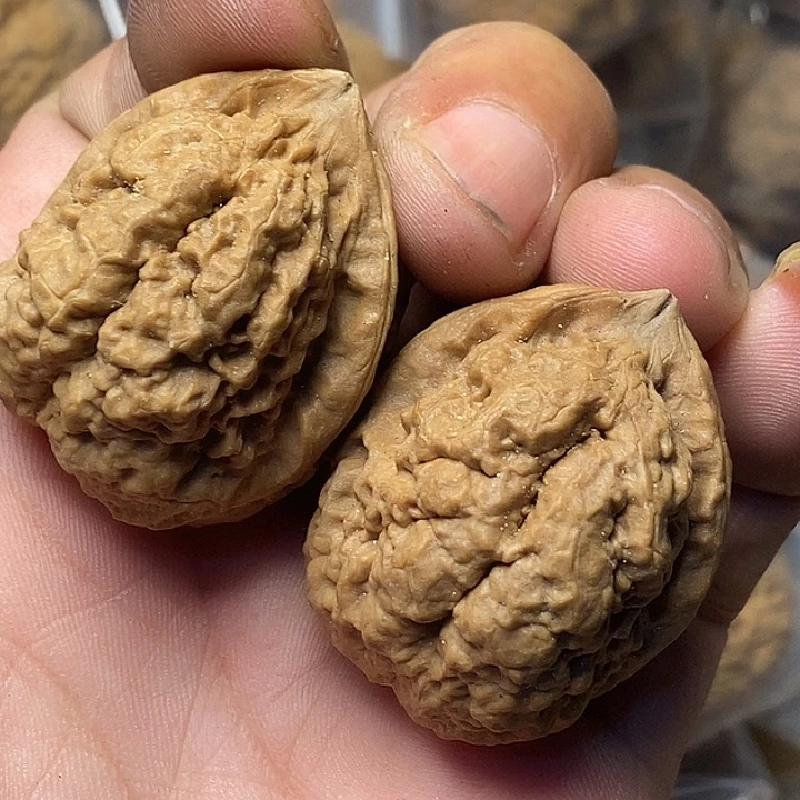 文玩核桃把件云南铁核桃55