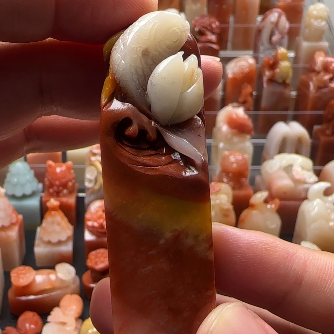 老挝石锦鲤  2×6.6