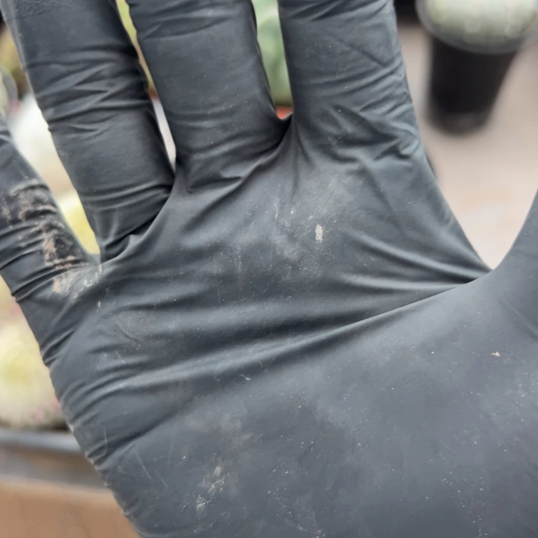 *****100余额 零零落落 零零落落