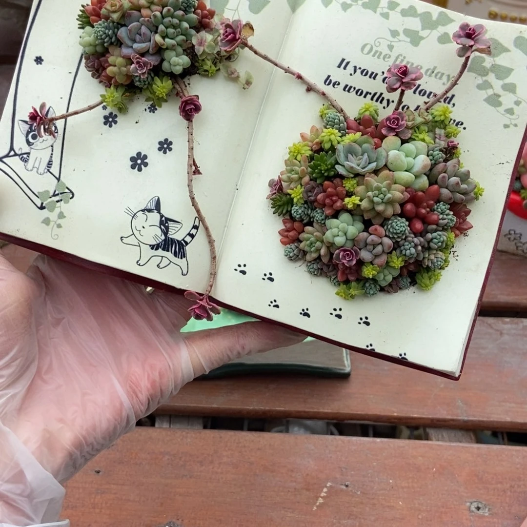 猫咪书本成品发货