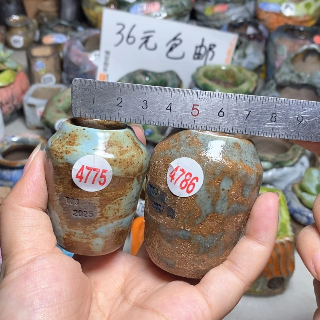 拍3送一个小礼物